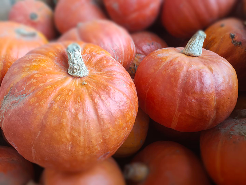 Légumes en vente directe à la ferme de kernarhant