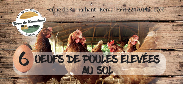 vente d'oeufs de poules élevés au sol à la ferme à plouézec