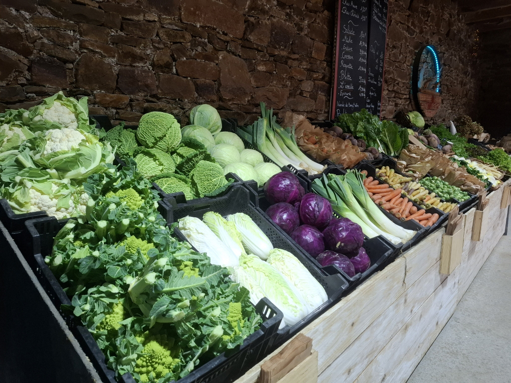 legume ferme plouézec 6 Légumes à la ferme à plouézec