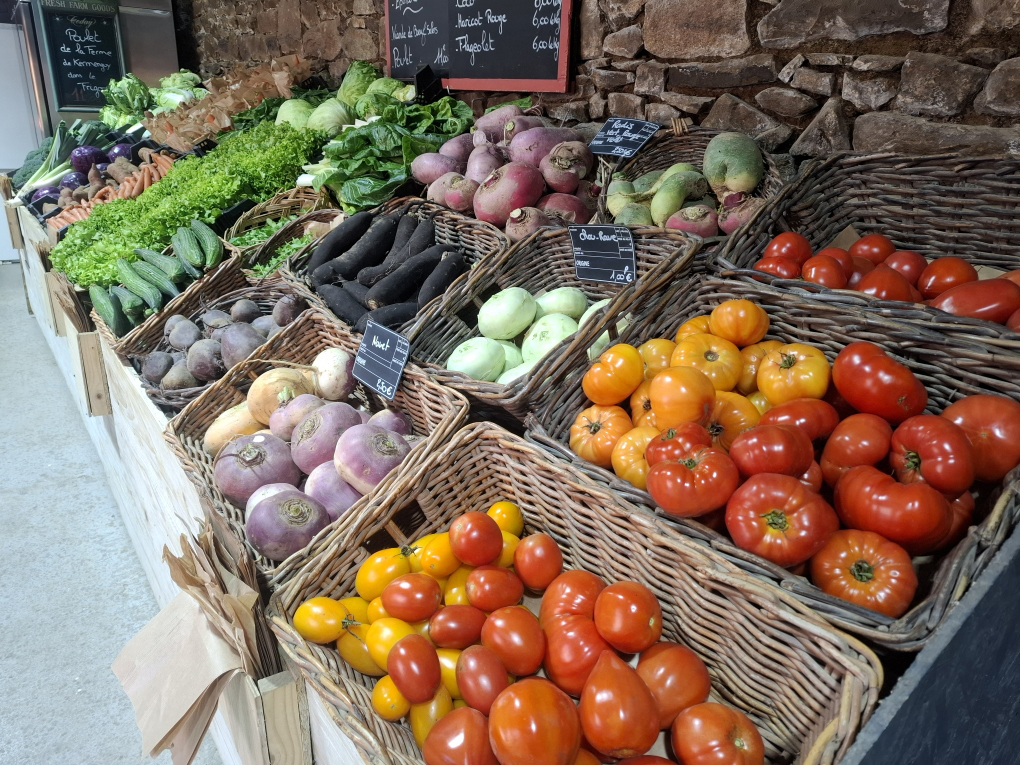 legume ferme plouézec4 Légumes à la ferme à plouézec